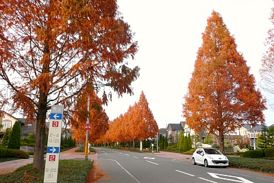 秋の回廊