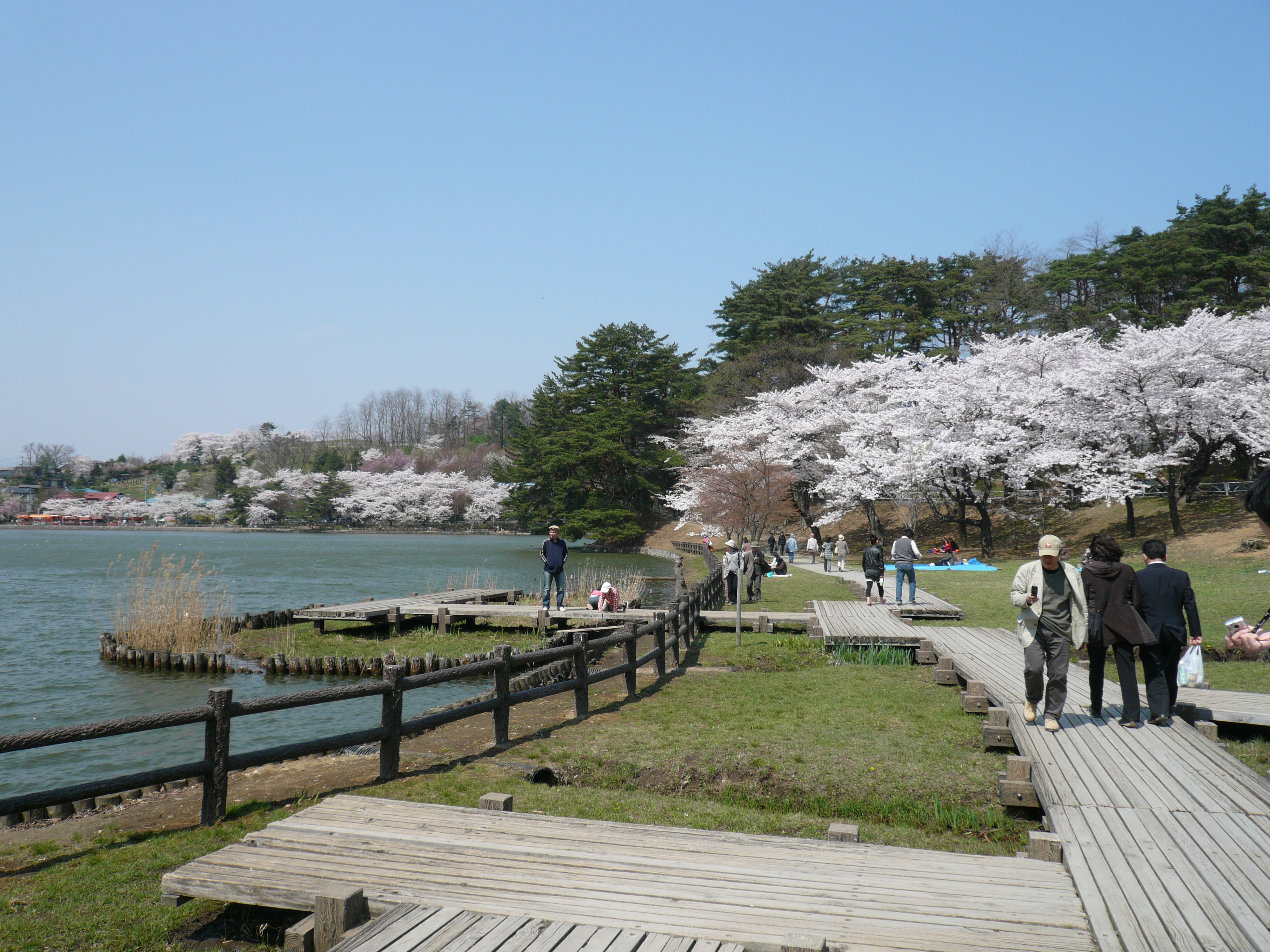 行ってよかった