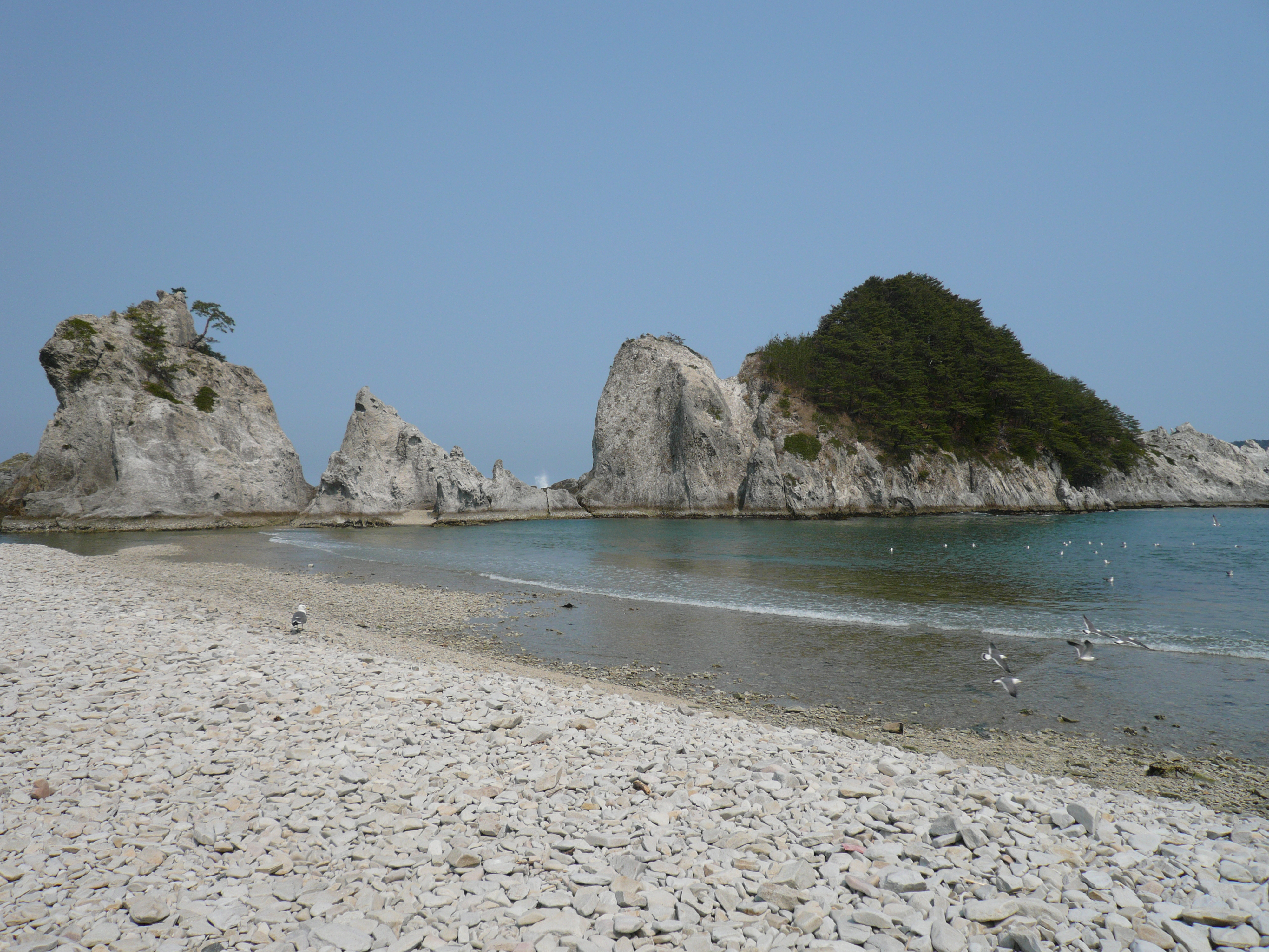 行ってよかった