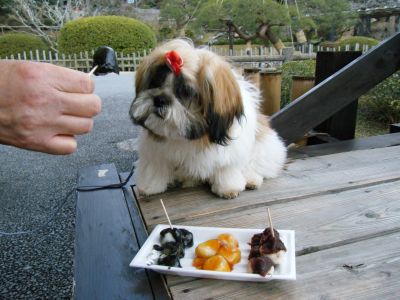 はじめまして