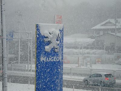雪