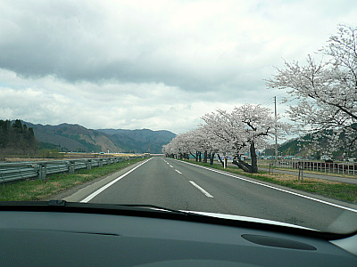 花見（一人）