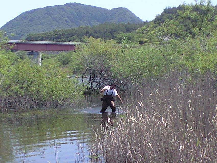 バス釣り