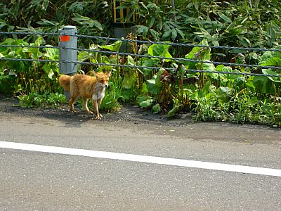 ご応募頂きました！③