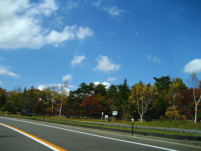 「紅葉」
