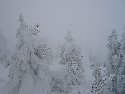 2年振りの