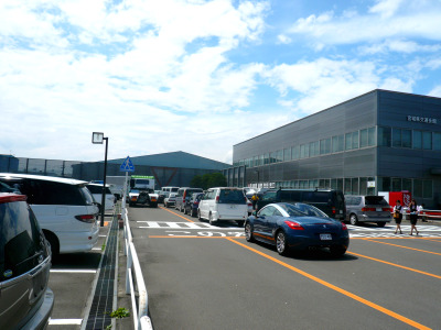 埋め込んだら際立った