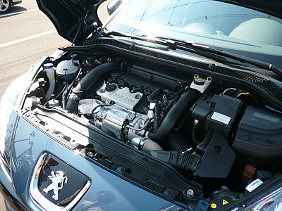 通りがかりの美人さん