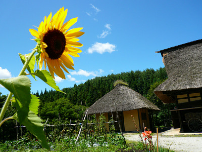 今年も大募集！！