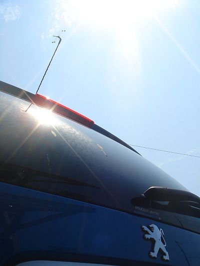 今年も大募集！！