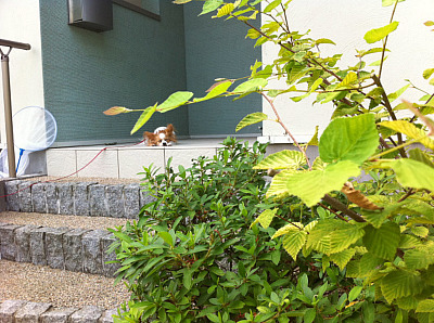 ご応募頂きました！2010　①