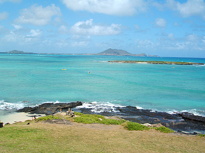 ご応募頂きました！2010②