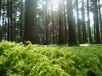 夏写真2010優秀作品賞発表！の前に。。。