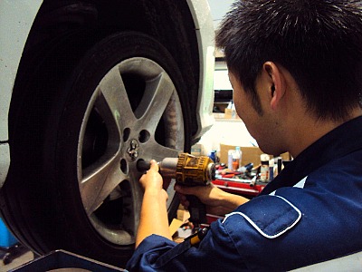 ☆　ニューフェイス　☆