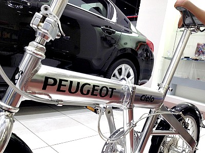 今年の春はこれでっ