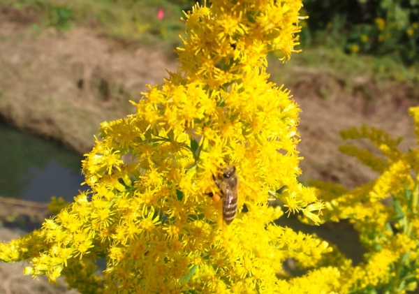 よろしくメカニック3