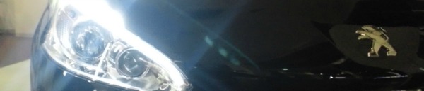 さあ、カラダで感じよう！