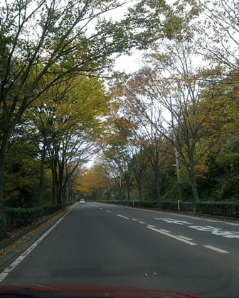 秋を感じる間もなく