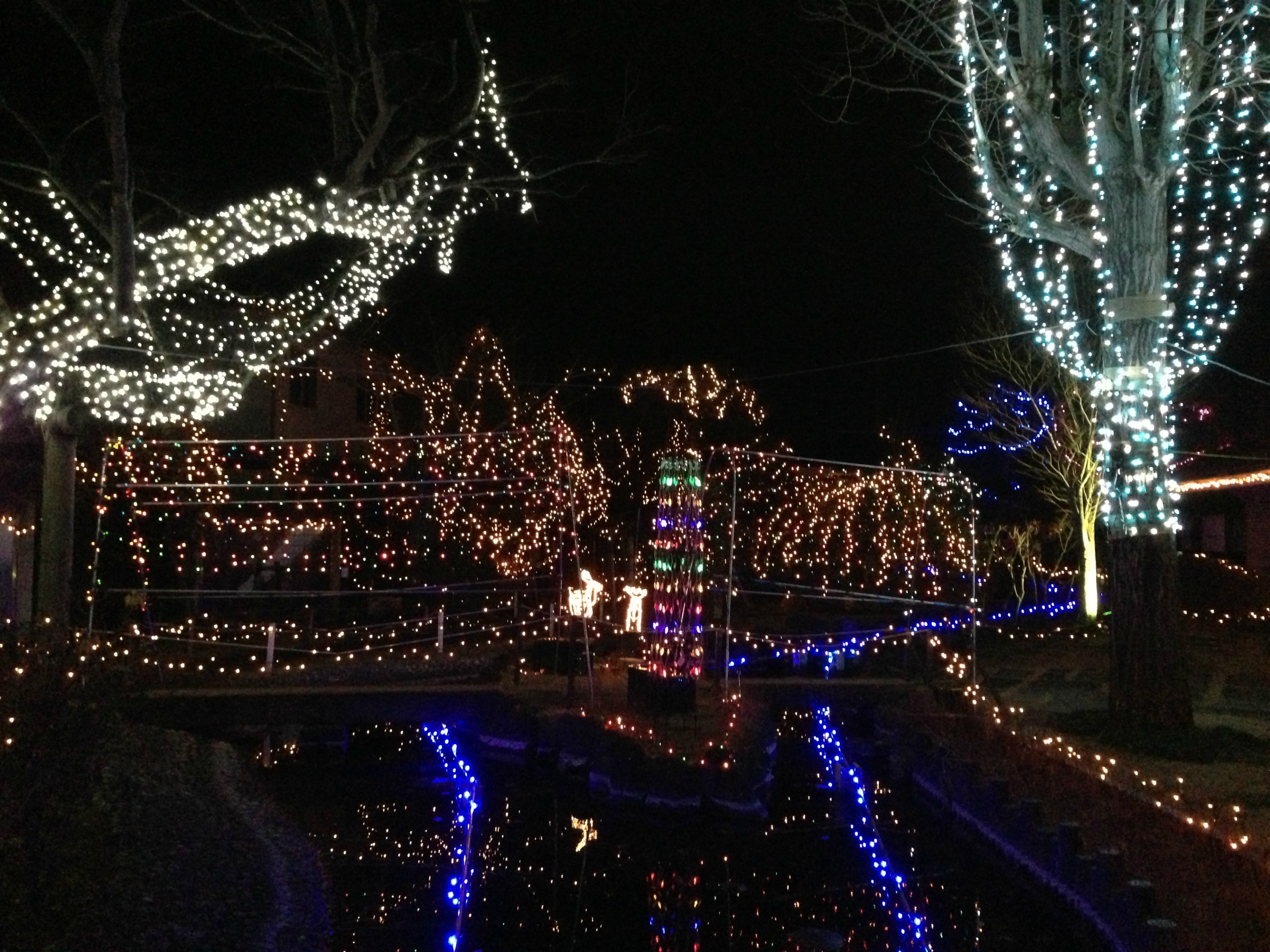 イルミつながりで