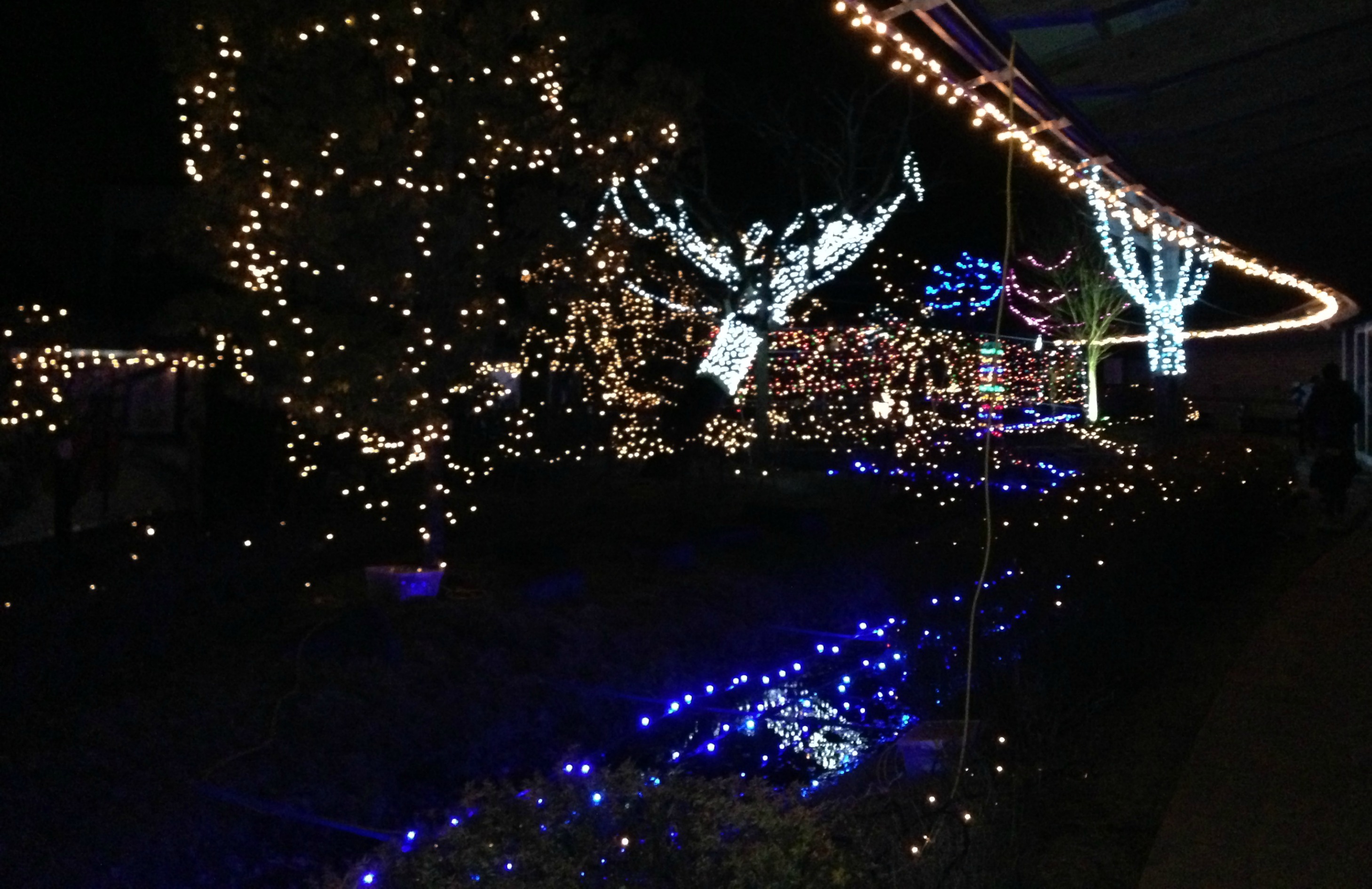 イルミつながりで