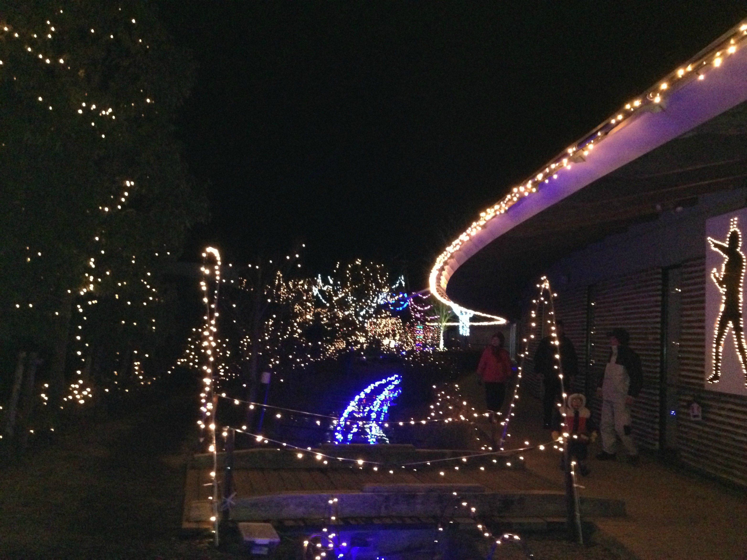 イルミつながりで