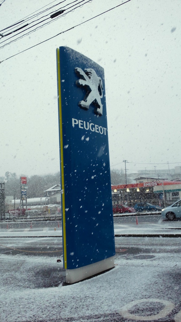 突然の雪！
