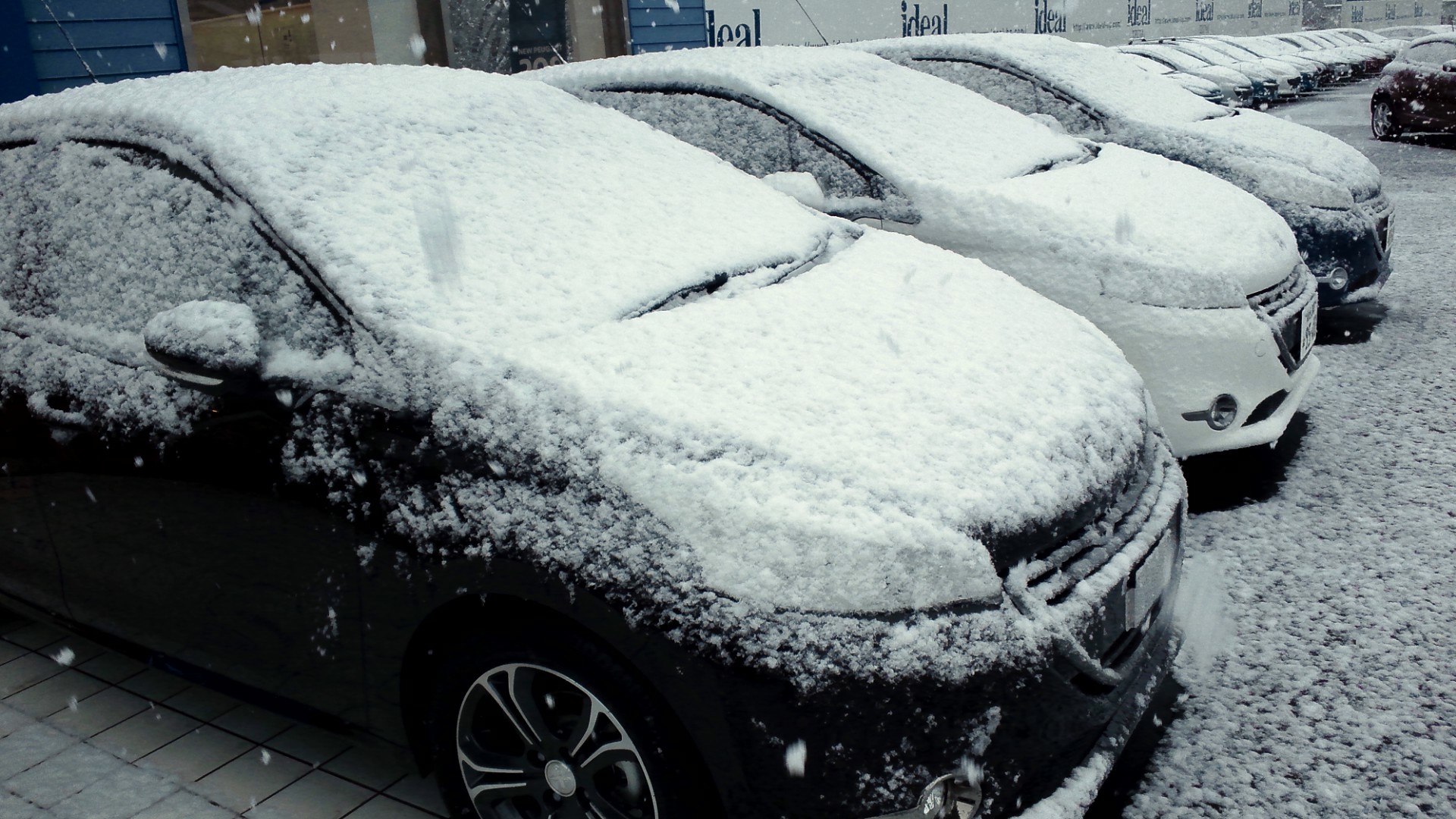 突然の雪！