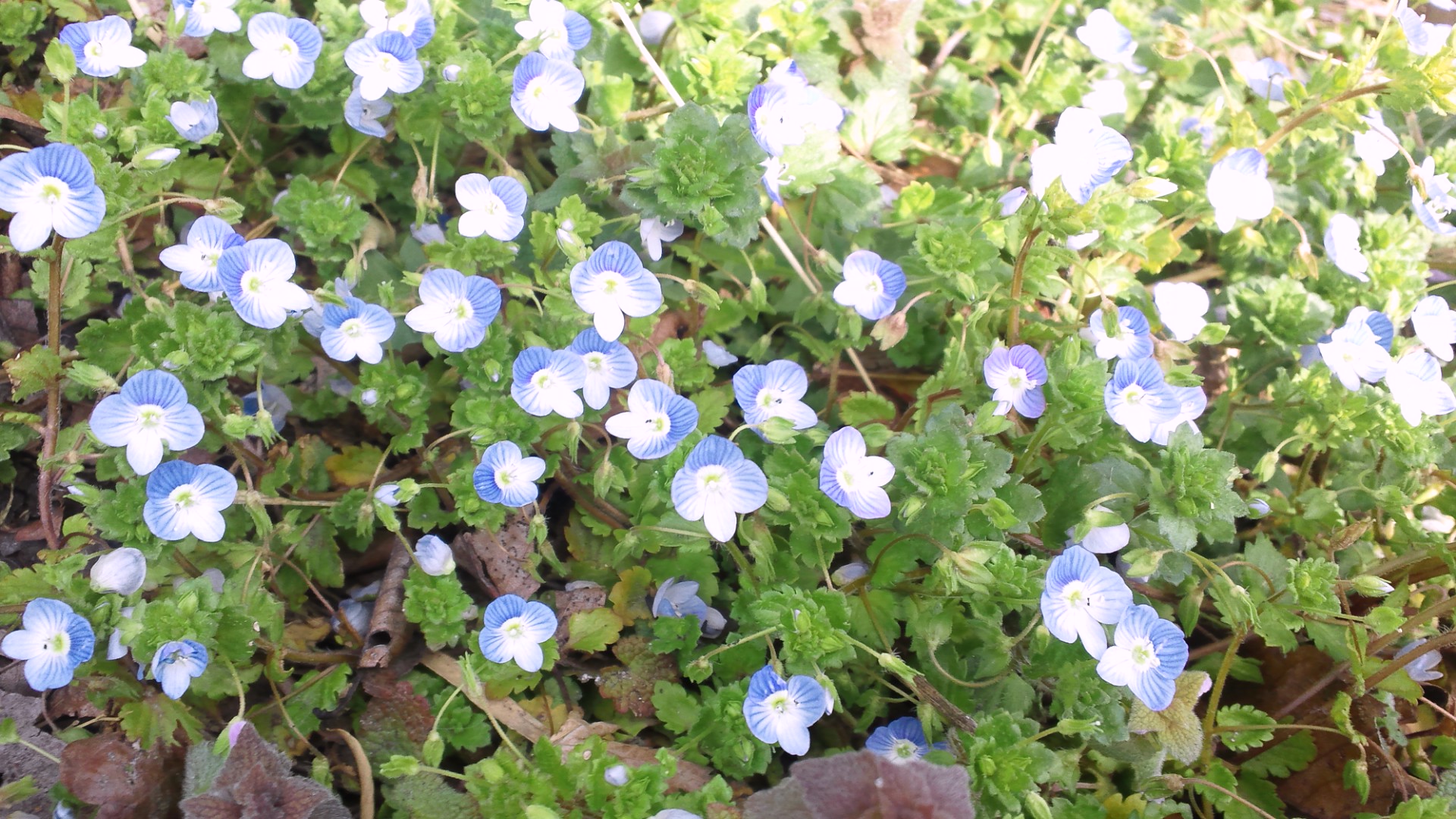 明日から５月