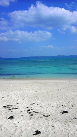 もうすぐ夏到来！