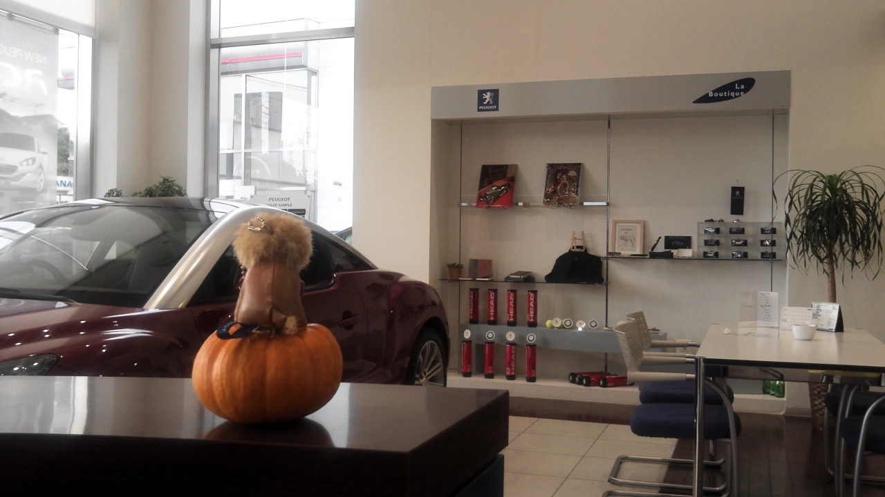 ハッピーハロウィーン！！