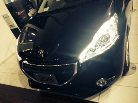 208envy  -LIMITED EDITION-