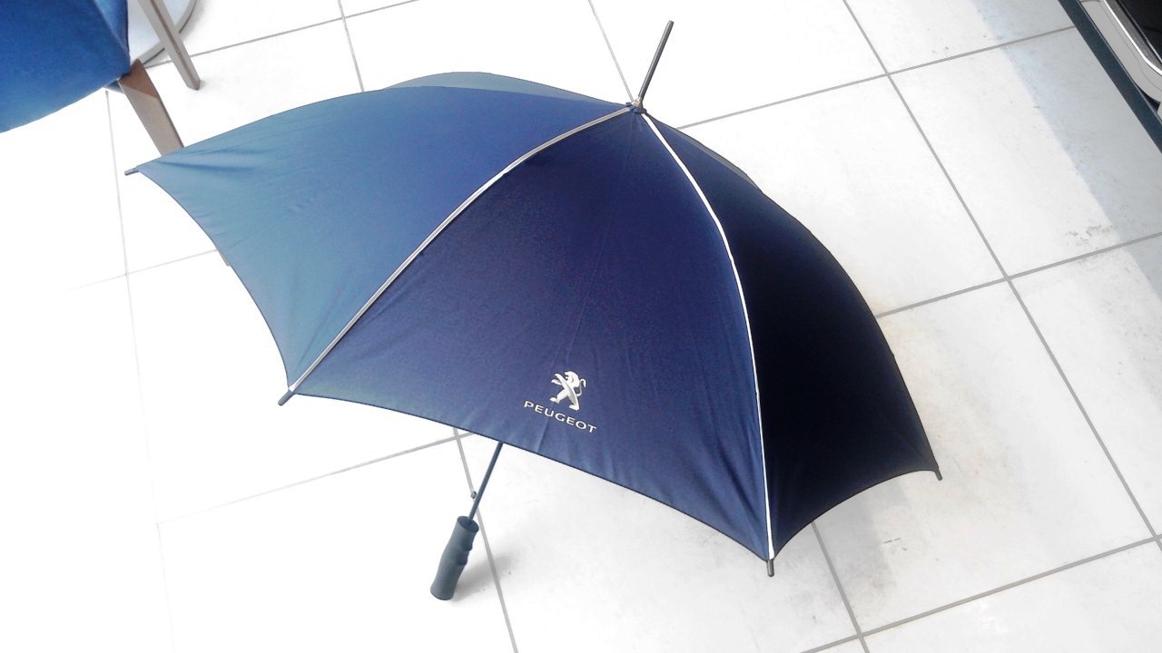 雨