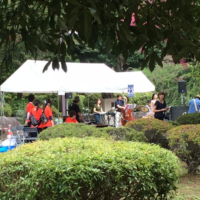 JOZENJI STREET JAZZ FESTIVAL !!