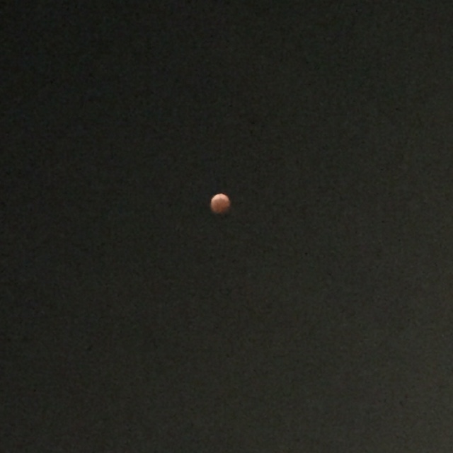 3年ぶりの天体ショー