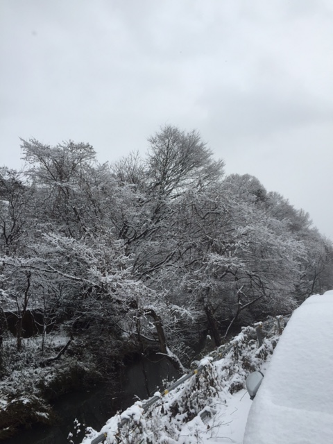 雪！！