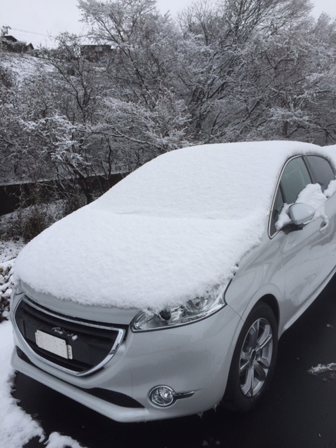 雪！！