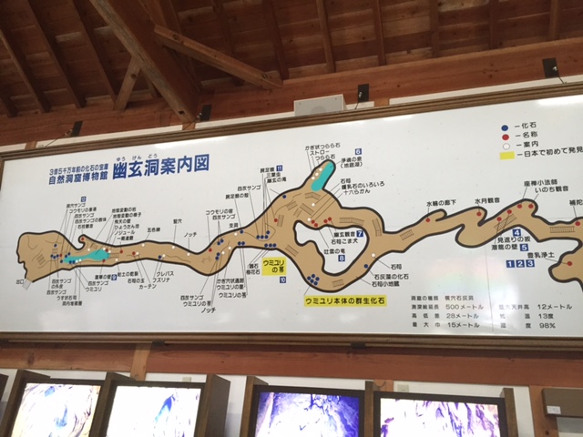 優雅な休日