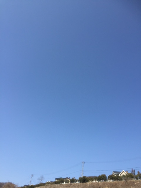 仲間入り