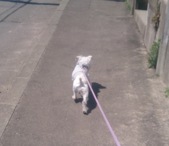 震災から４年。