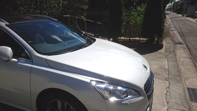 まったりした時間12