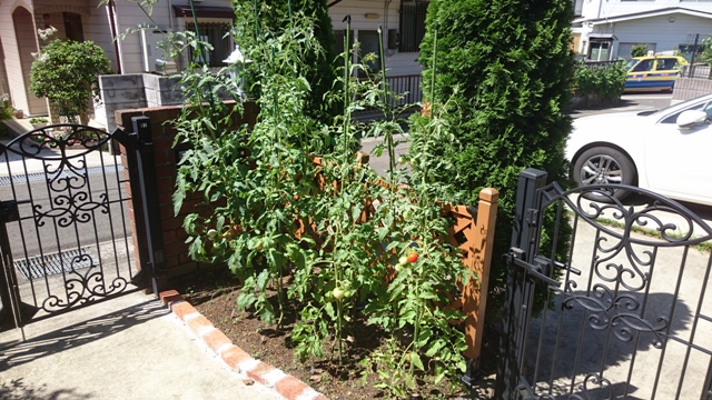 まったりした時間12