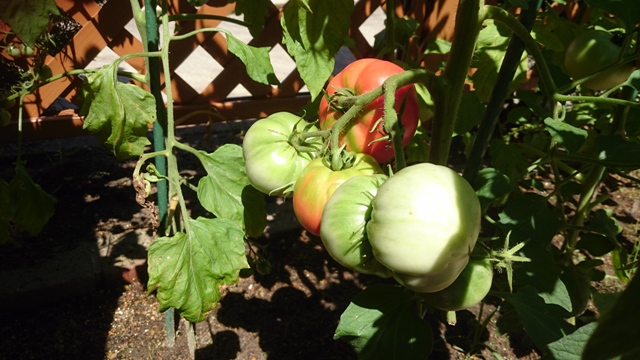 まったりした時間12