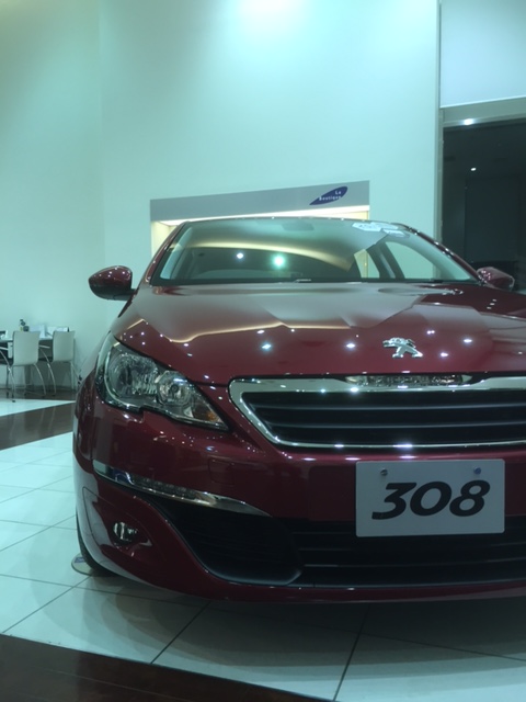 308SW特別キャンペーン