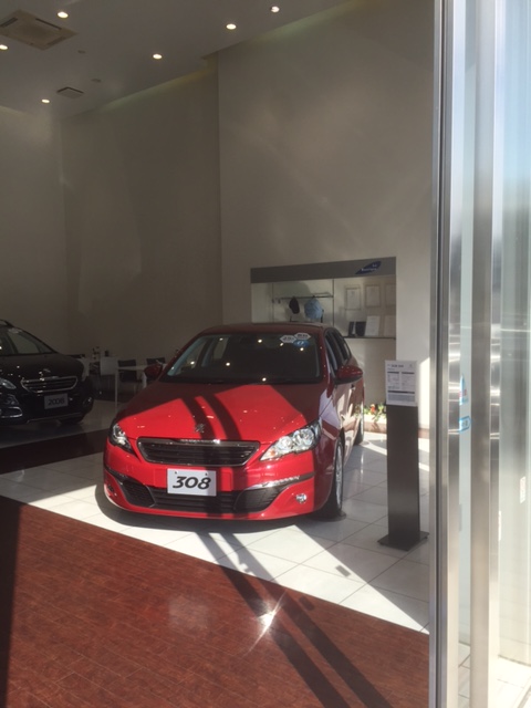 308SW特別キャンペーン