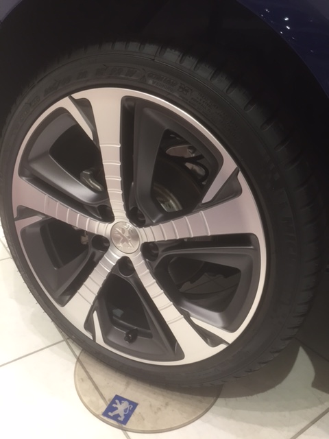 ついにあいつがやってきた！