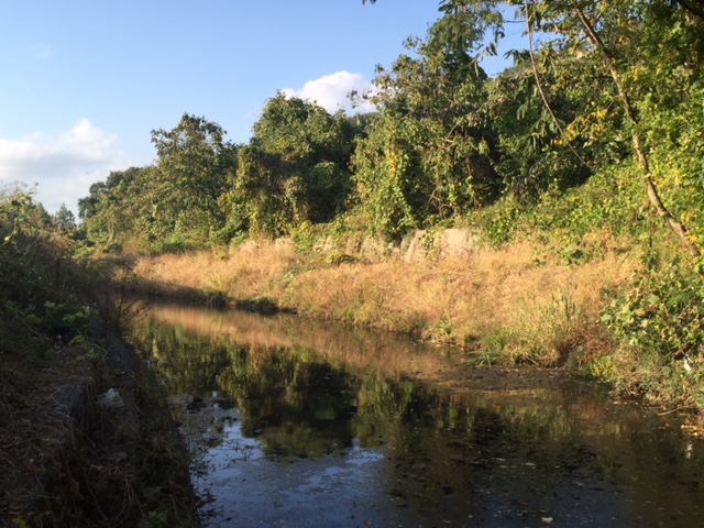 些細なことですが