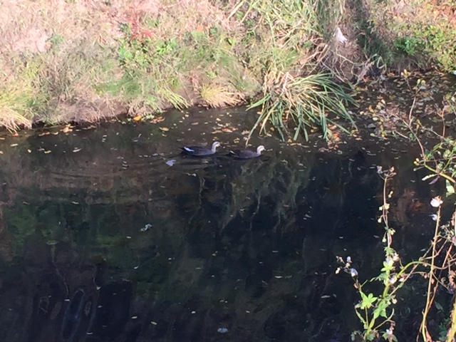 些細なことですが