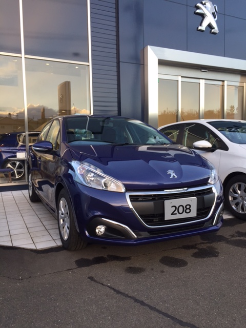 一年の締めくくりと初売り