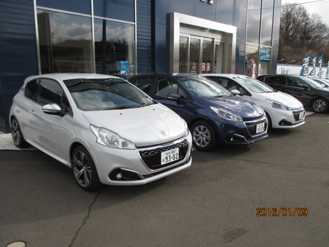 新しい試乗車です！！