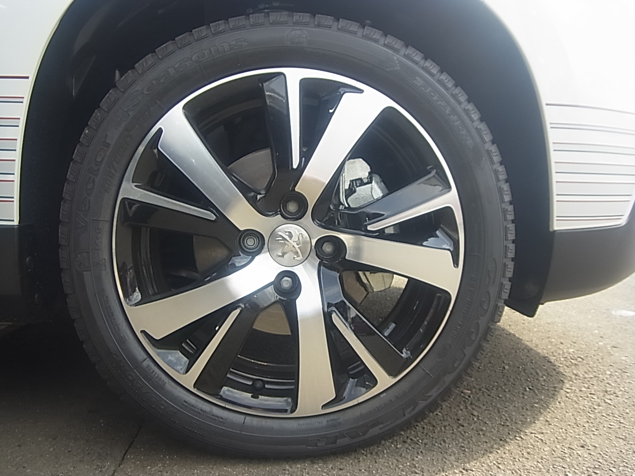 NEW2008 デビュー！！